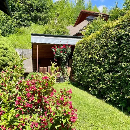 Lägenhet Haus Am Erzbach - Mitten In Der Eisenerz