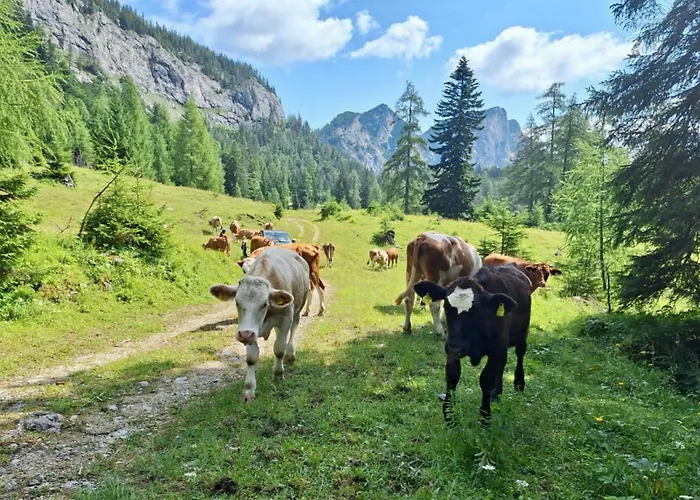 Appartamento Haus Am Erzbach - Mitten In Der